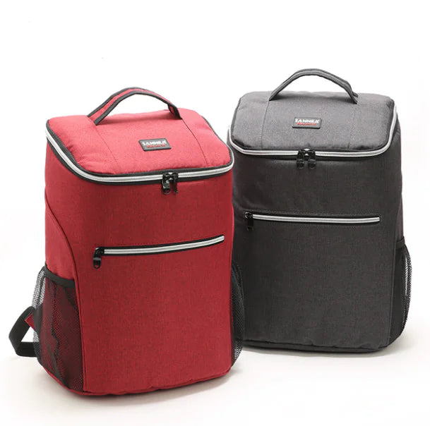 Double Shoulder Insulated Backpack